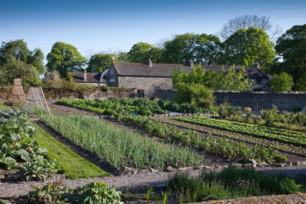 Willa The Stable Yard House At Burtown House & Gardens Athy Zewnętrze zdjęcie